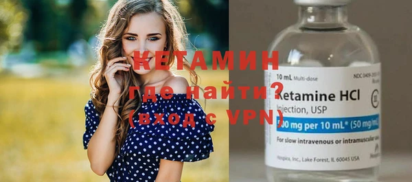 шишки Богородицк