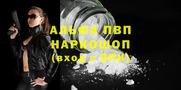 бошки Богданович