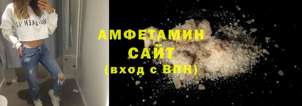 шишки Богородицк