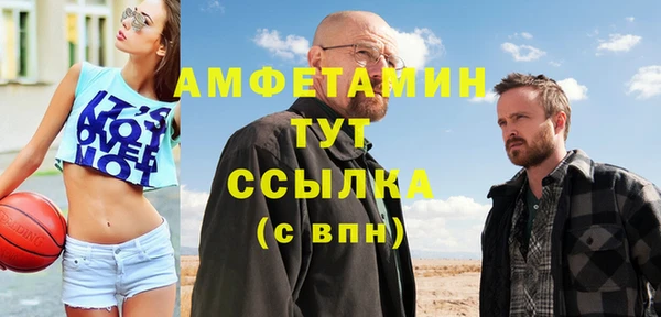 шишки Богородицк